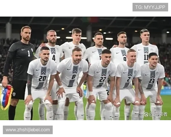 世界杯预选赛欧洲区积分榜最新排名情况全面解析